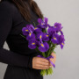 7 фиолетовых ирисов фото 2
